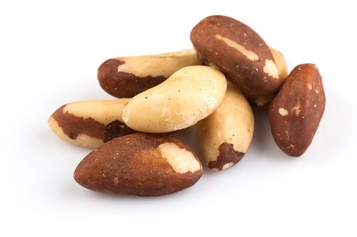 Roasted Brazil Nuts (Salted) | Brazil Nuts 