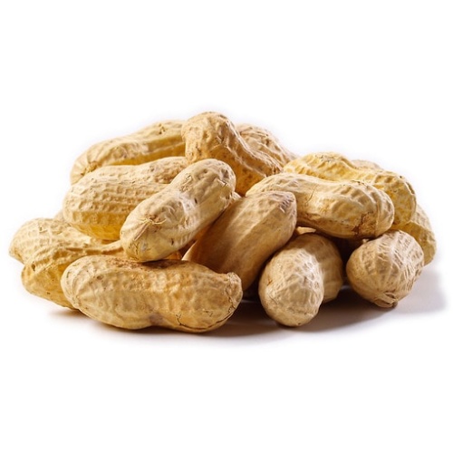 In Shell Dry Roasted Peanuts Unsalted