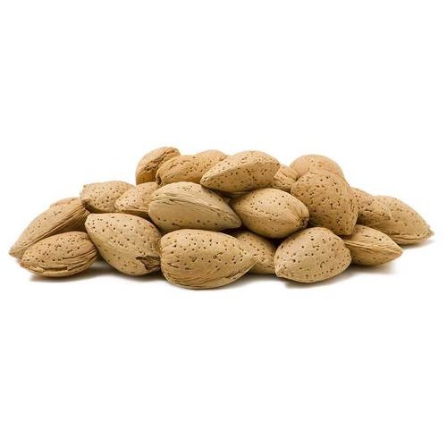 In Shell Raw Almonds