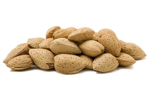 In Shell Raw Almonds